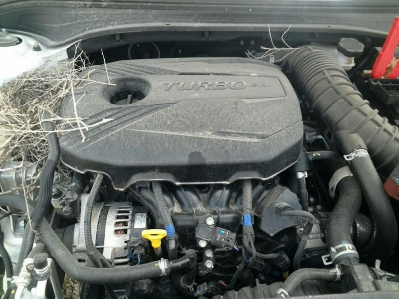 2021 Kia FORTE 1.6L (turbo), VIN C (8th digit, Mexico built), AT (dual clutch) Used Engine (Price- 4111)