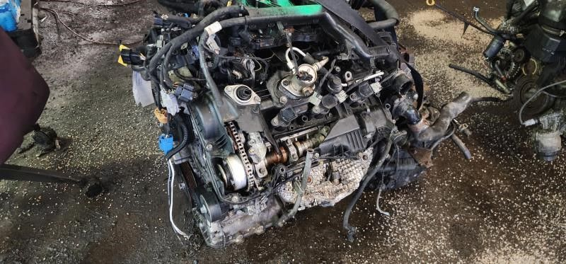 2015 Kia CADENZA (3.3L, VIN 7, 8th digit) Used Engine (Price- 5148)